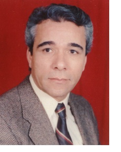 Mohamed El-Sayed Ali Ali